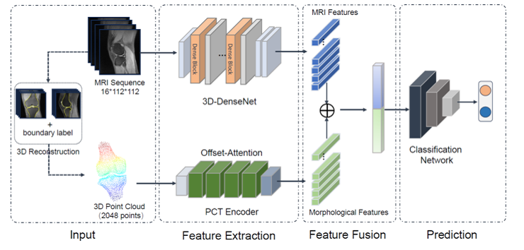 生物醫(yī)學(xué)影像處理中的數(shù)據(jù)處理技術(shù) 賦能精準(zhǔn)醫(yī)療的核心引擎